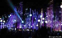 From 6pm to 9pm, thousands gather at the Ayala Triangle every evening to watch the mesmerizing light and sound show.