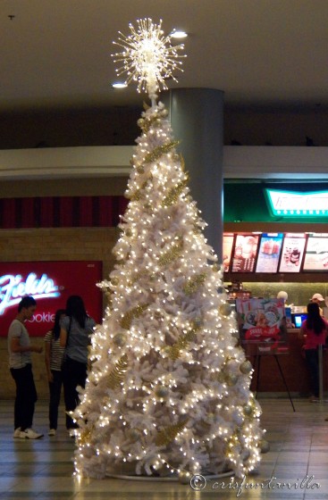 The Christmas Tree in front of the carousel just outside the cinemas is a favorite prop of shoppers taking pictures at the Trinoma Mall.