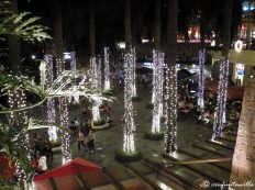 Even the tree trunks of Greenbelt Gardens' tall palm trees are adorned with LED lights.